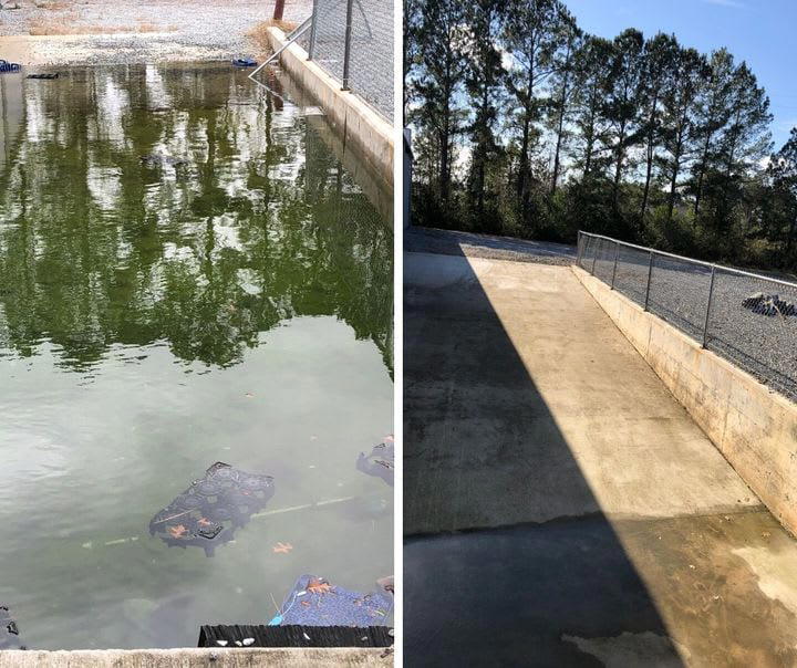 Pool area cleanup before and after